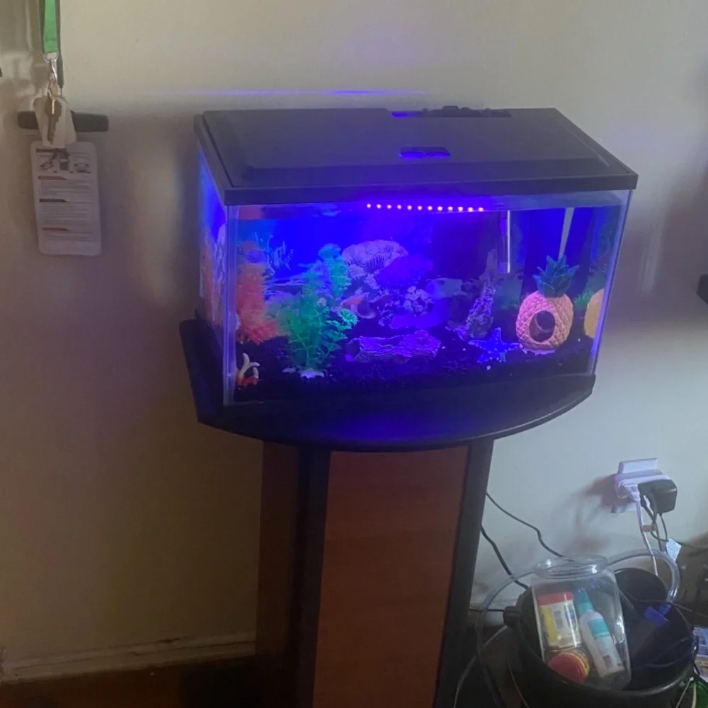 Fish tank and stand